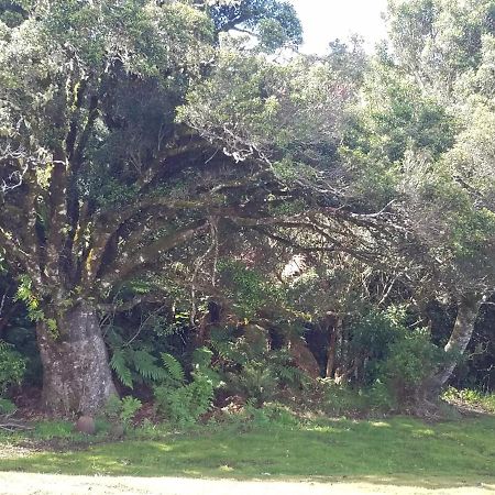 Riversong Ohakune Exterior foto